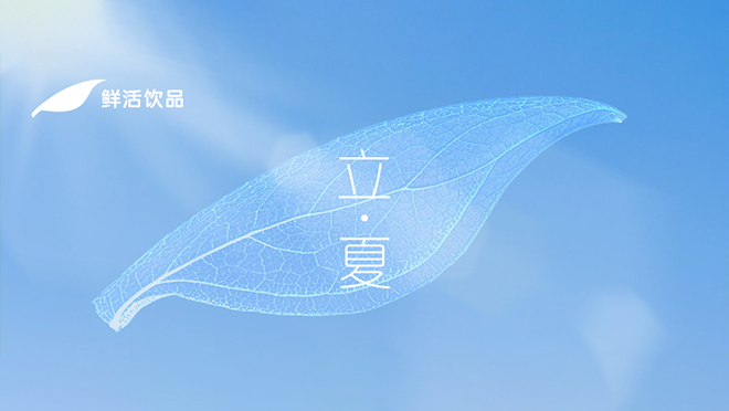 立夏丨草木初长，时光新章