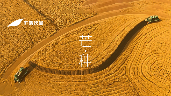 芒种丨忙而不茫，种有回响