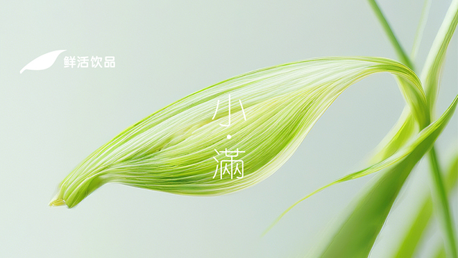 小满丨花开半夏，小得盈满