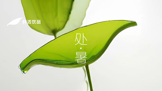 处暑丨飒然爽新，最好新秋