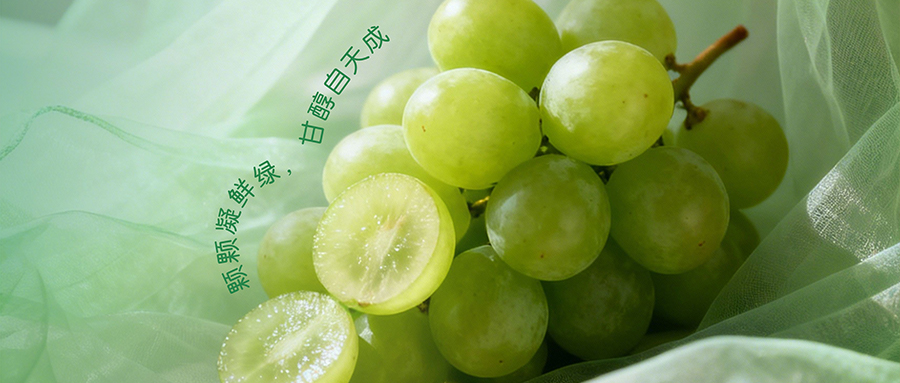 青提凝本味·清甜透舌尖