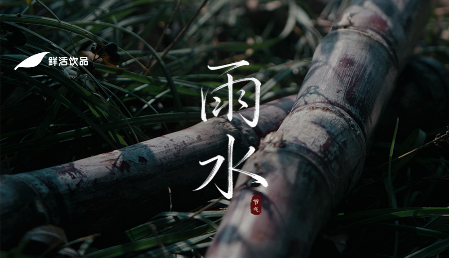 雨水丨天街酥雨落